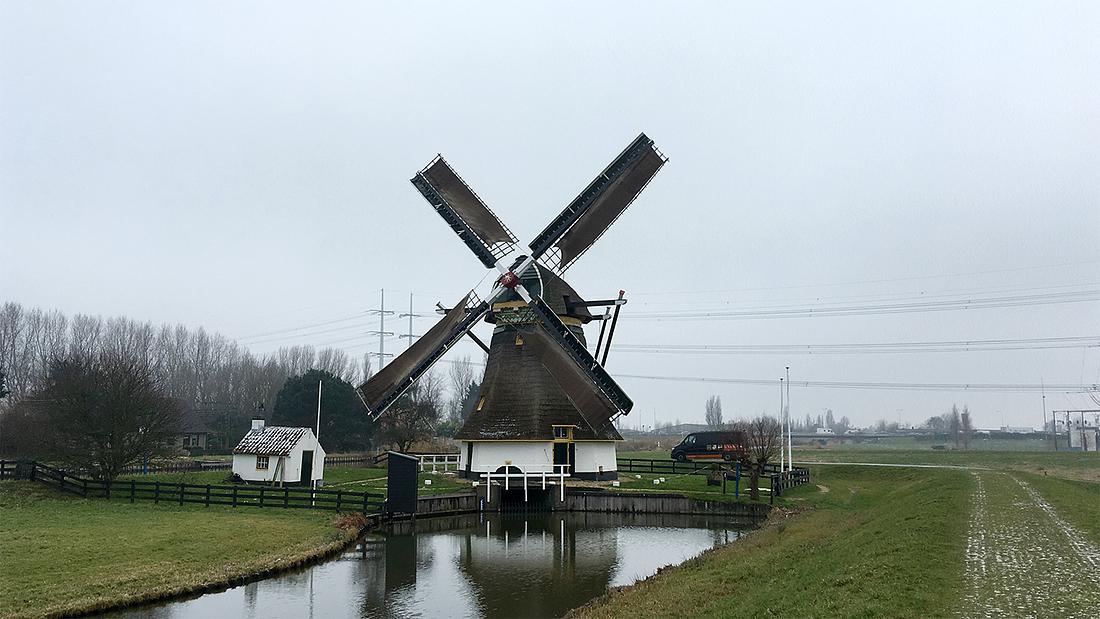 6, Molen 12343 Schaapweimolen (Rijswijk), Bjorn Jannink (1-2-2019) | Database Nederlandse molens