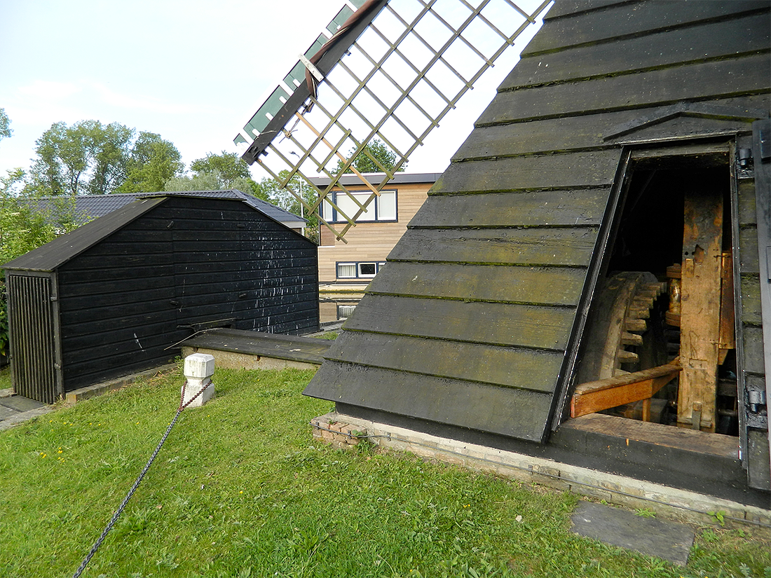 6, Molen 01784 Kikkermolen (Leiden), Vincent Mepschen (28-5-2017) | Database Nederlandse molens