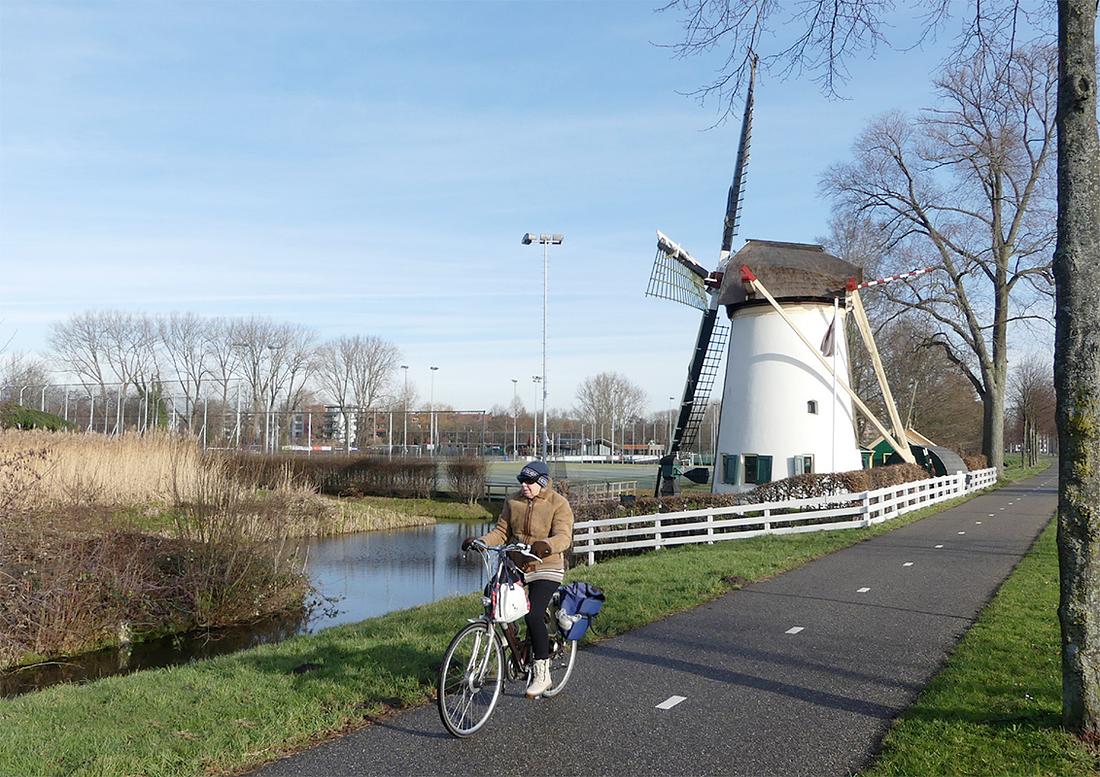 4, Molen 00987 Rodenburgermolen (Leiden), Piet Glasbergen (29-1-2019) | Database Nederlandse molens