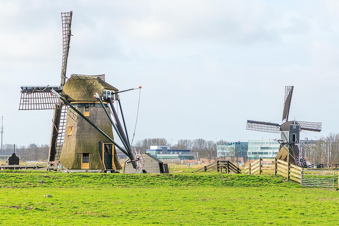 4, Molen 02487 Doeshofmolen (Leiderdorp), Frank Hendriks (18-2-2020)Rechts de Munnikenmolen. | Database Nederlandse molens