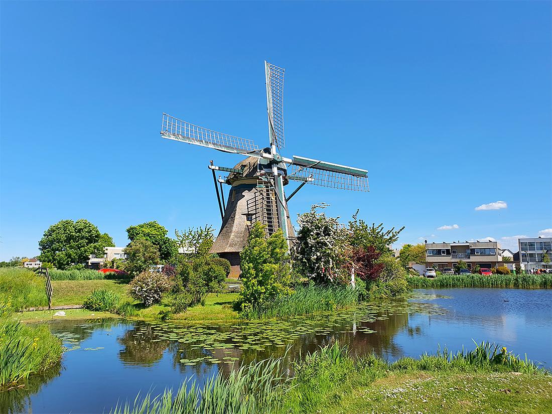 1, Molen 02485 Zijllaanmolen (Leiderdorp), Pieter Zuijkerbuijk (17-5-2020) | Database Nederlandse molens