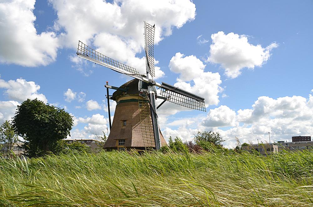 2, Molen 02485 Zijllaanmolen (Leiderdorp), Het achtkant heeft nu nieuw riet gekregen.  Rob Pols (12-7-2012). | Database Nederlandse molens