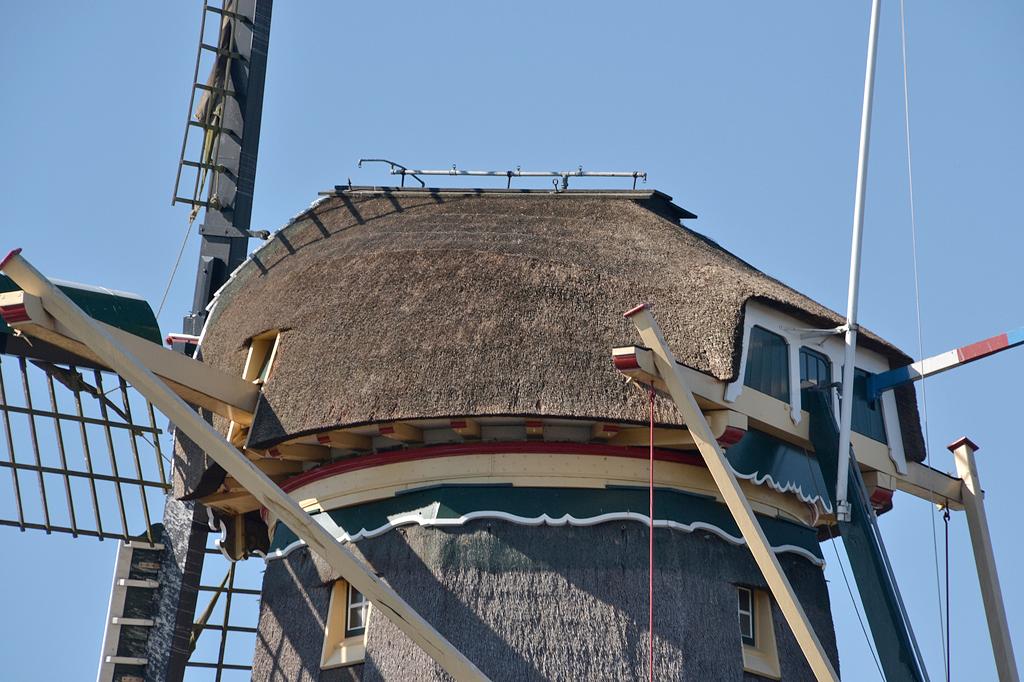 8, Molen 12549 De Salamander (Leidschendam), Rob Pols (2-8-2018)Een blik op de kap met de opvallende bliksemafleider op de nok. De achtkante romp is afgewerkt met fraaie rietplanken.  | Database Nederlandse molens