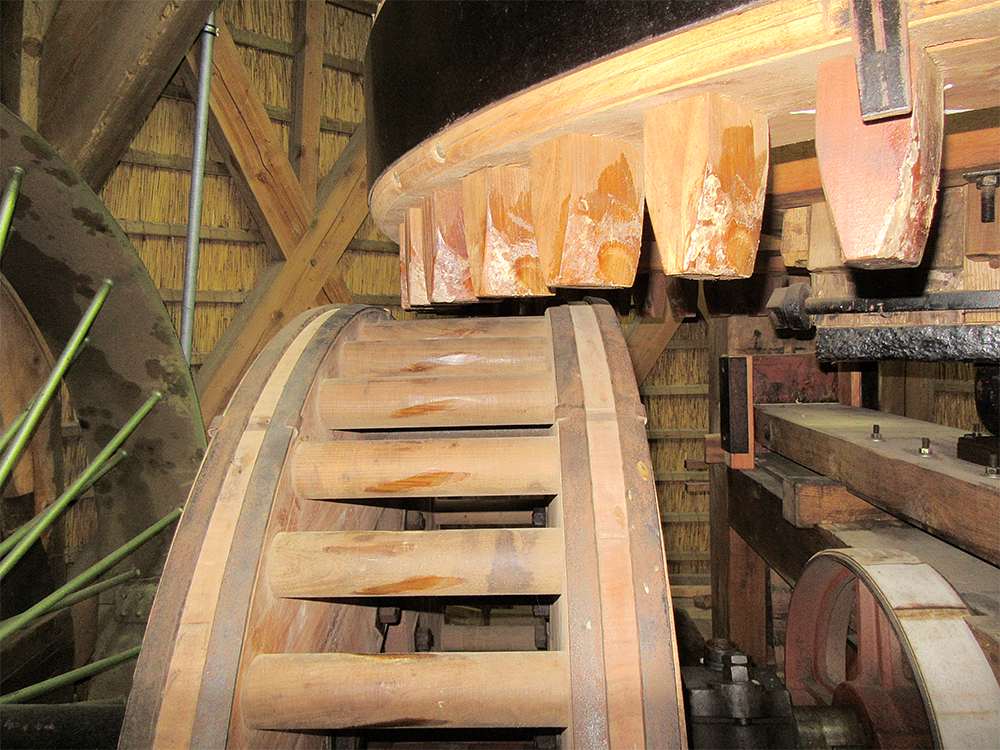 15, Molen 12549 De Salamander (Leidschendam), Frank Moerland (11-3-2017) | Database Nederlandse molens