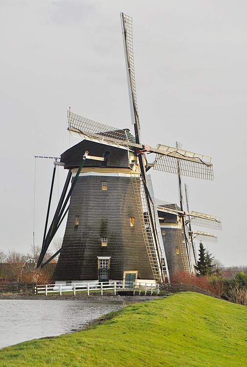 6, Molen 00965 Bovenmolen (van de Driemanspolder) (Leidschendam), Leo Middelkoop (25-12-2013)De molendriegang met op de voorgrond de Bovenmolen. De oplettende kijker ziet de scheefstand van de Middenmolen.  | Database Nederlandse molens