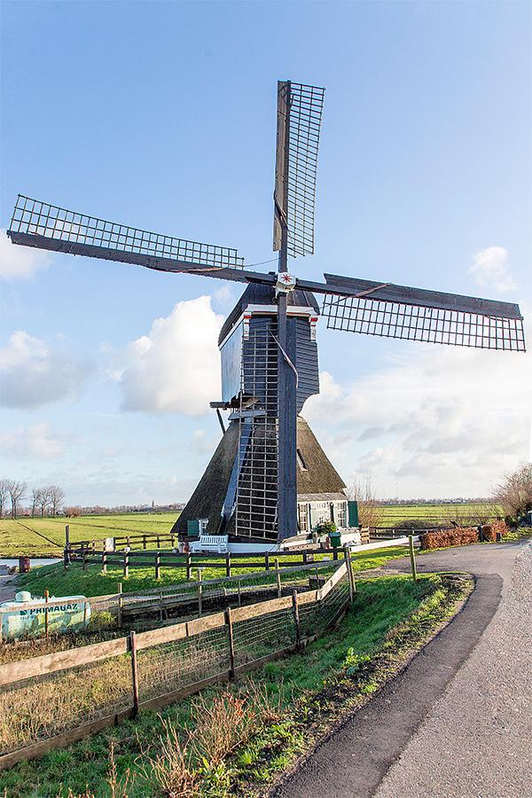 Molen 00824 Vlietmolen (Lexmond), Frank Hendriks (9-1-2019) | Database Nederlandse molens
