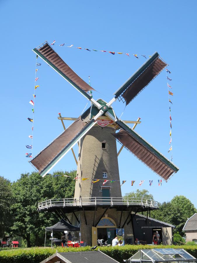 Molen 01525 De Korenaer / Prins Maurits (Den Haag-Loosduinen), William Bouter (30-6-2018) | Database Nederlandse molens