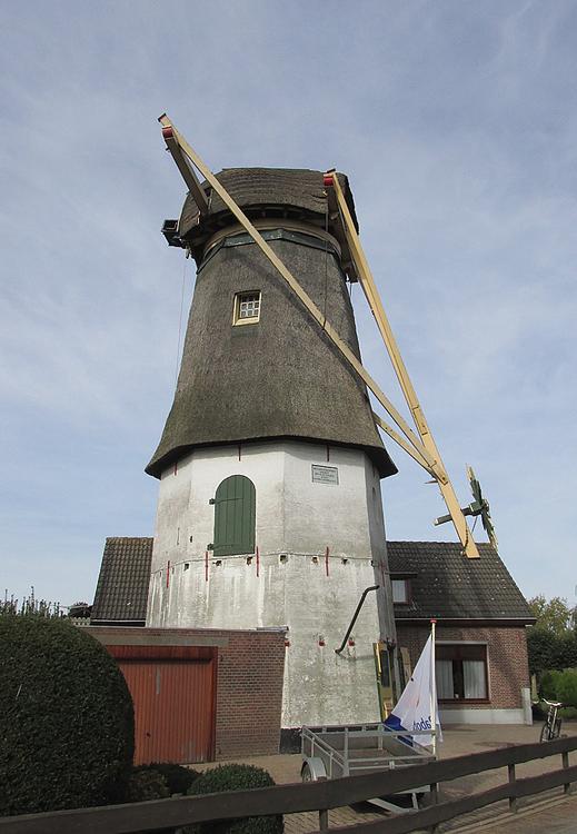 5, Molen 01980 De Hoop (Maasdam), Abel van Loenen (18-10-2014). De onttakelde molen wachtend op restauratie. | Database Nederlandse molens