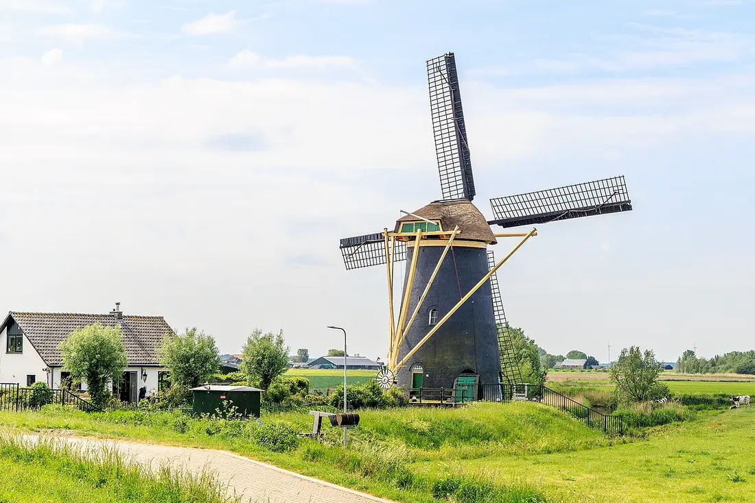 3, Molen 01981 Poldersche Molen (Maasdam), Frank Hendriks (17-5-2022) | Database Nederlandse molens