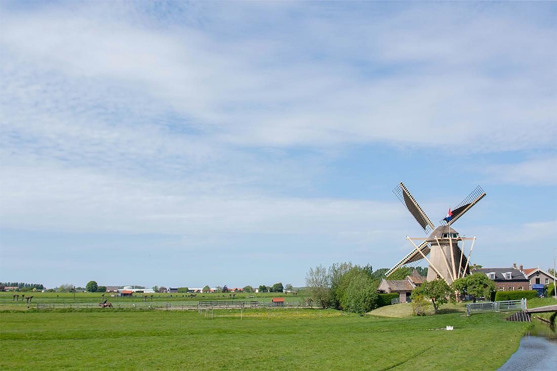 3, Molen 01537 De Drie Lelies (Maasland), Bram Westerink (11-5-2019) | Database Nederlandse molens