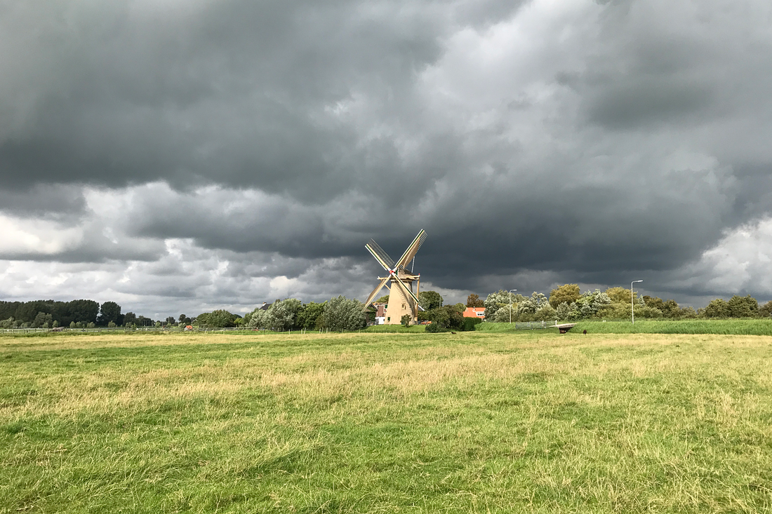 1, Molen 01537 De Drie Lelies (Maasland), Toby de Kok (12-8-2017) | Database Nederlandse molens