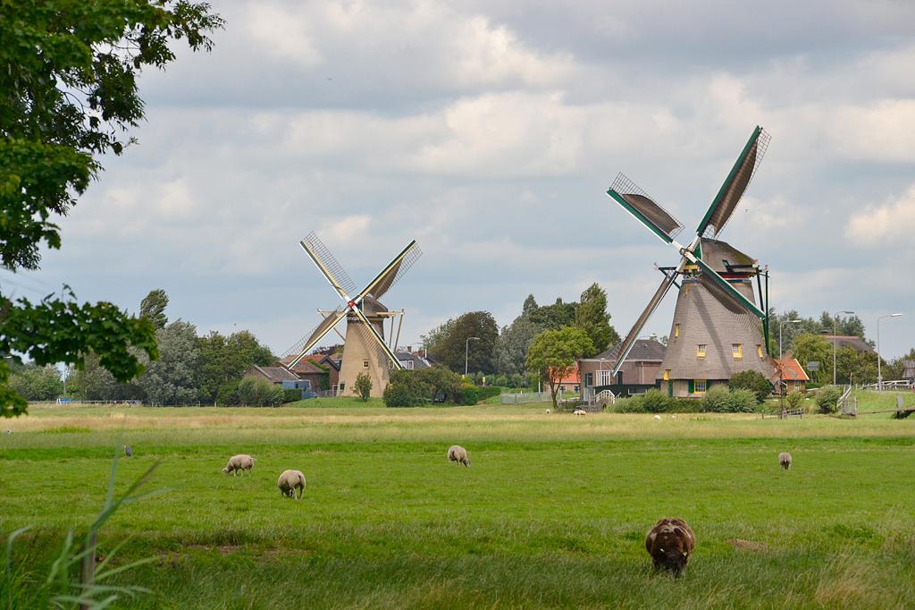 4, Molen 01537 De Drie Lelies (Maasland), Rob Pols (29-7-2015) | Database Nederlandse molens