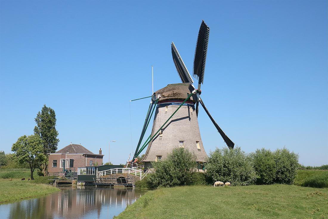 4, Molen 01536 Dijkmolen (Maasland), Ronald Bakker (29-6-2019) | Database Nederlandse molens