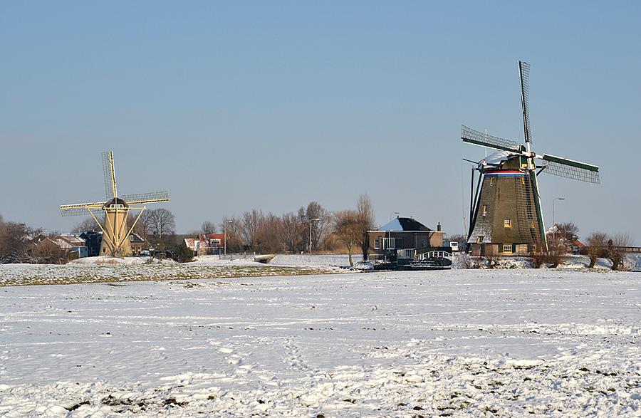 9, Molen 01536 Dijkmolen (Maasland), Rob Pols (16-1-2013)Rechts de Dijkmolen, links De Drie Lelies.  | Database Nederlandse molens