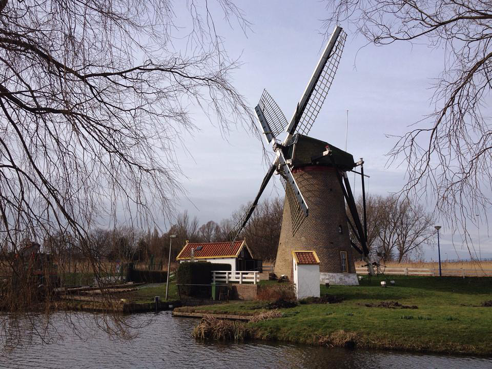 1, Molen 01534 De Wippersmolen (Maassluis), Rob Pols (25-2-2017) | Database Nederlandse molens