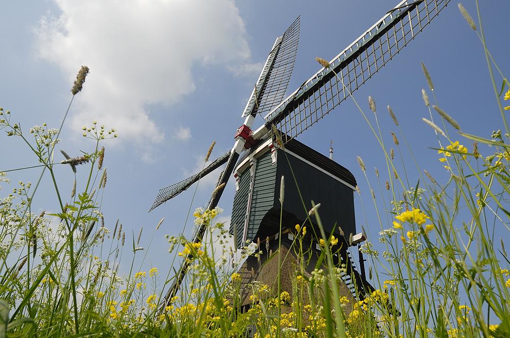 4, Molen 00826 Bonkmolen / Molen den Bonk (Lexmond), Chris van Gijs (30-4-2009). | Database Nederlandse molens
