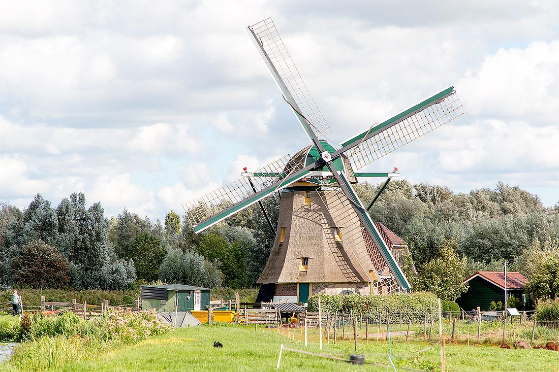3, Molen 12198 De Broekdijk (of: De Broekdijkmolen) (Warmond), Frank Hendriks (7-9-2018) | Database Nederlandse molens