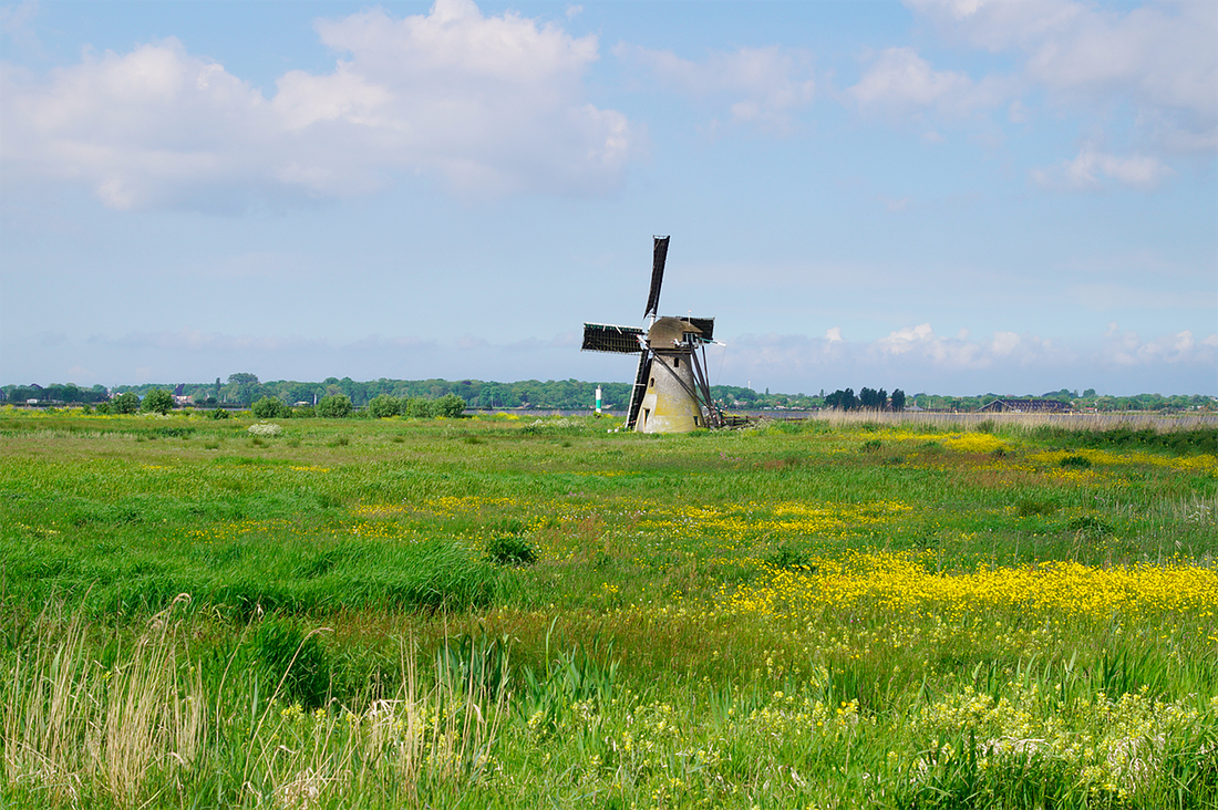 3, Molen 01805 De Kok (Warmond), Matthieu Hoogduin (20-5-2017) | Database Nederlandse molens