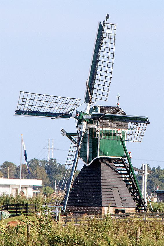 Molen 10177 Nieuwe Hofmolen (Warmond), Frank Hendriks (14-9-2019) | Database Nederlandse molens