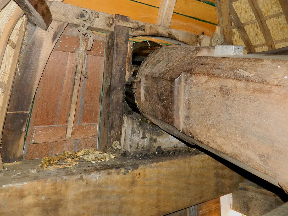 12, Molen 01807 Lakermolen / Laakmolen (Warmond), Vincent Mepschen (23-10-2021) | Database Nederlandse molens