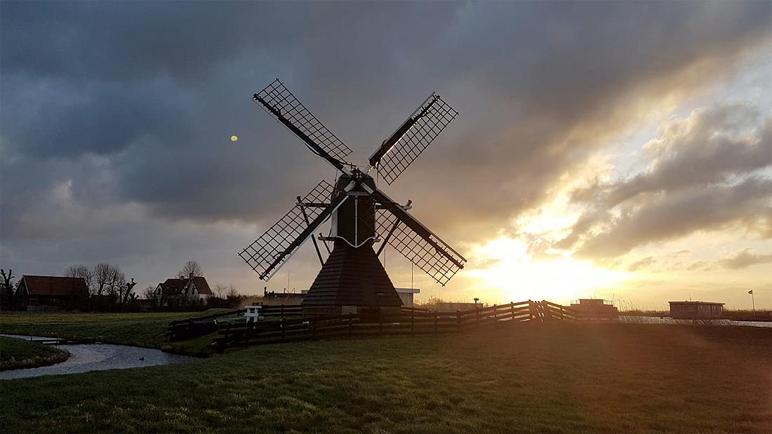 6, Molen 10177 Nieuwe Hofmolen (Warmond), Hans Roest (19-2-2020) | Database Nederlandse molens