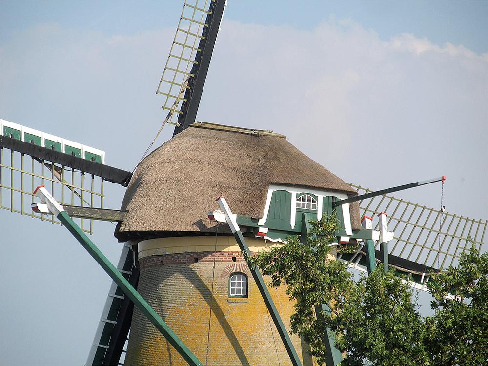 7, Molen 01792 Zwanburgermolen (Warmond), Piet Glasbergen (30-8-2016) | Database Nederlandse molens