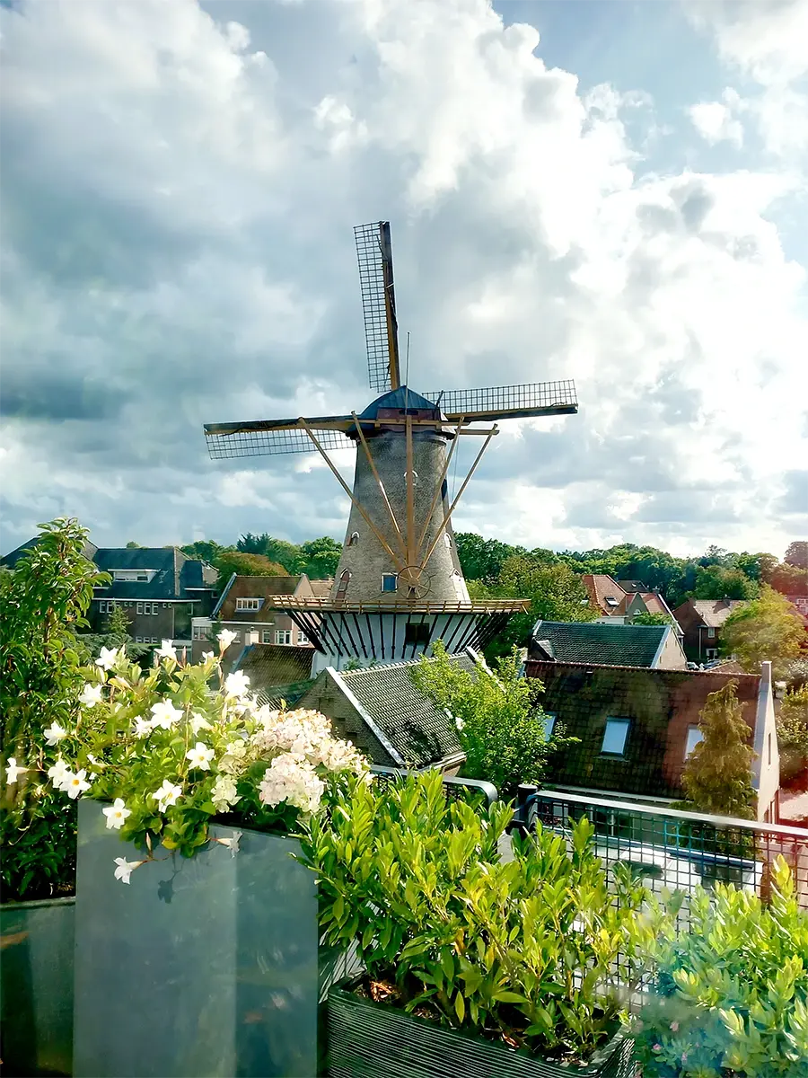6, Molen 00989 Windlust (Wassenaar), Wendy Rietkerk (26-8-2023) | Database Nederlandse molens