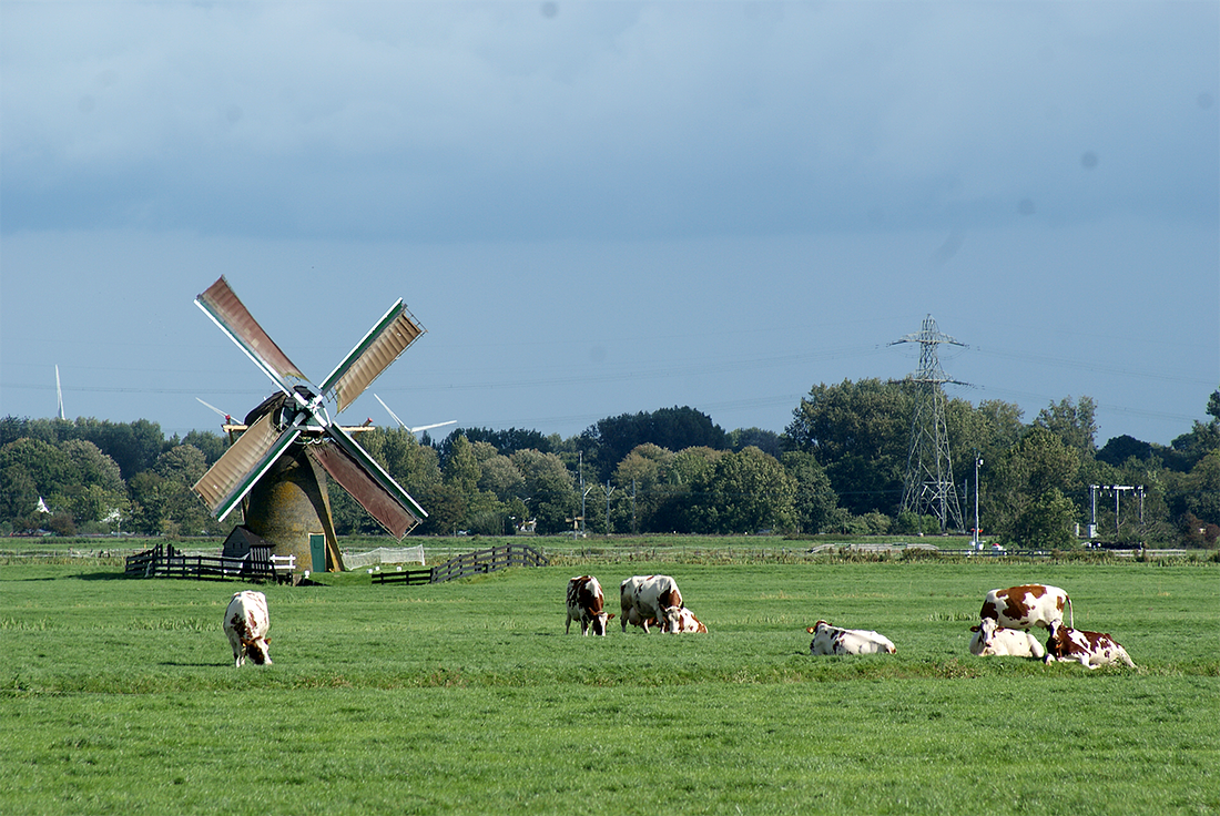 1, Molen 12348 Zuidwijkse molen (Wassenaar), Julius de Keuning (9-9-2017) | Database Nederlandse molens