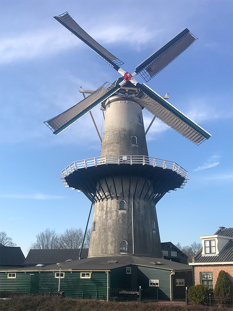 Molen 01544 Windlust (Wateringen), Toby de Kok (17-2-2018) | Database Nederlandse molens