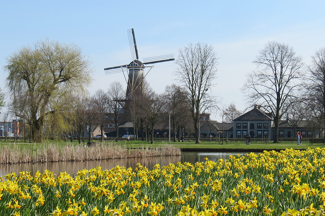 3, Molen 01544 Windlust (Wateringen), Daniëlle de Beer (24-3-2017) | Database Nederlandse molens