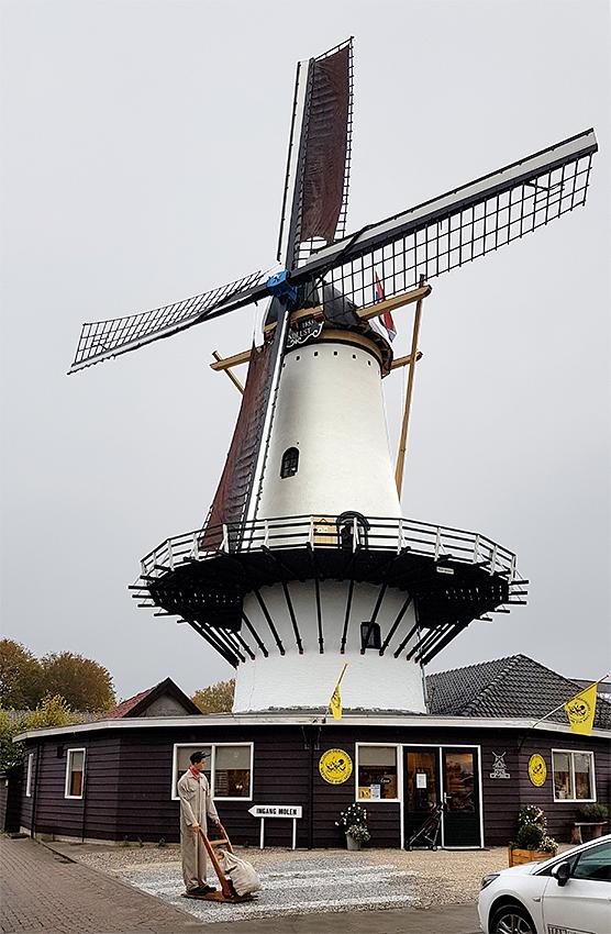 Molen 01986 Windlust (Westmaas), Pieter Zuijkerbuijk (12-10-2019) | Database Nederlandse molens