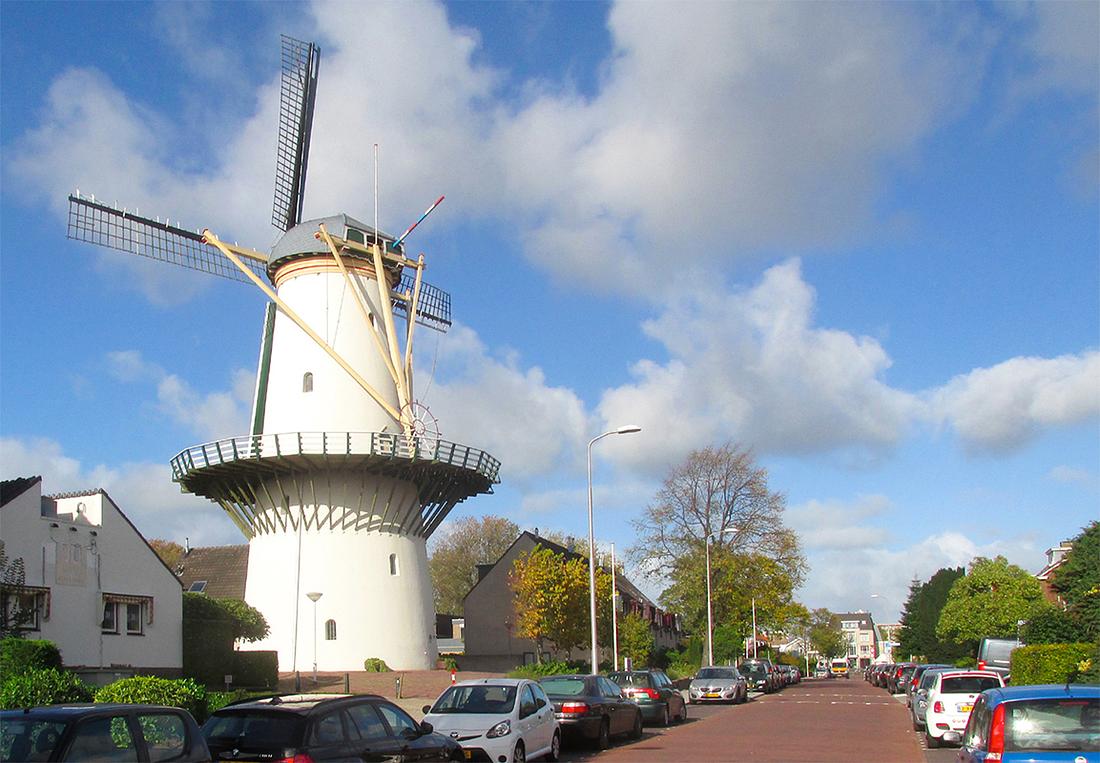 3, Molen 00937 De Hoop (Zoetermeer), Piet Glasbergen (5-10-2017)De biotoop gezien vanuit het zuidoosten. | Database Nederlandse molens