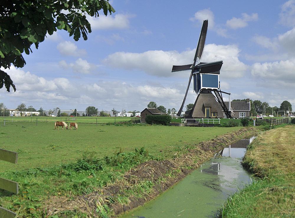 1, Molen 01157 Groote Molen (Zoeterwoude), Nancy Middelkoop (15-9-2012). | Database Nederlandse molens