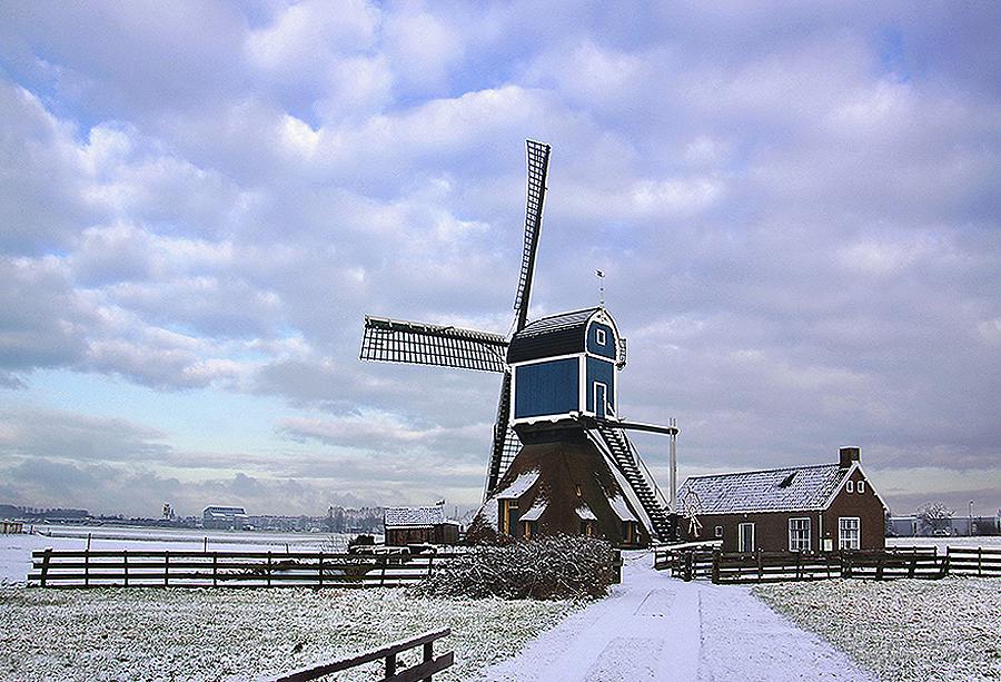 3, Molen 01157 Groote Molen (Zoeterwoude), Henk Langerak (5-2-2015) | Database Nederlandse molens
