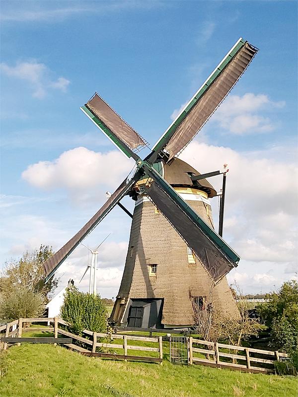 Molen 00984 Zelden van Passe / De Westeinder (Zoeterwoude), Tony Hop (27-10-2019) | Database Nederlandse molens