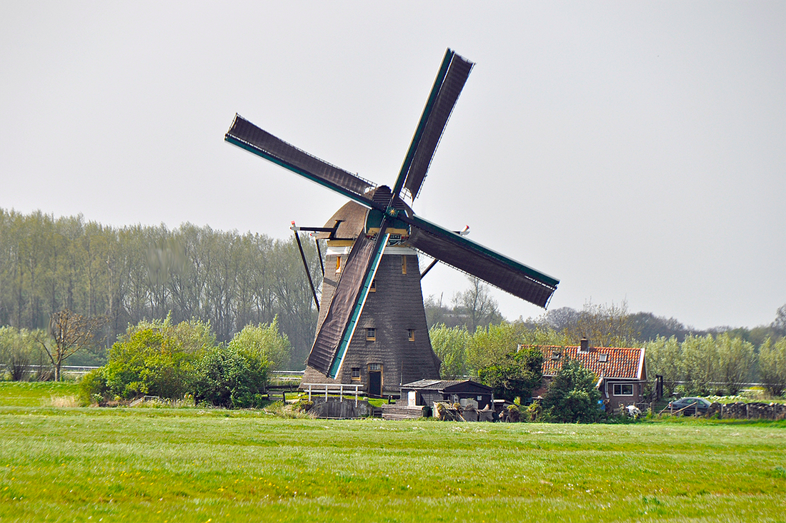 1, Molen 00984 Zelden van Passe / De Westeinder (Zoeterwoude), Nancy Middelkoop (30-4-2017) | Database Nederlandse molens