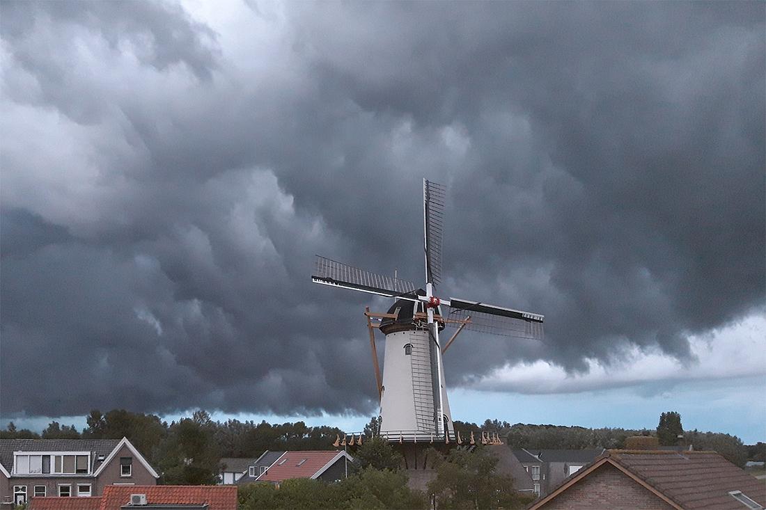 1, Molen 02771 De Arend (Zuidland), Arie van Loo (12-08-2019) | Database Nederlandse molens