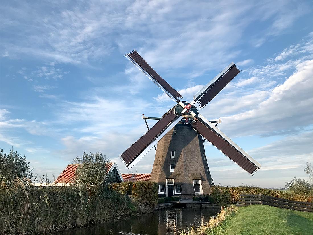 1, Molen 00049 De Dikke Molen (Alphen aan den Rijn), Bjorn Jannink (31-10-2020) | Database Nederlandse molens