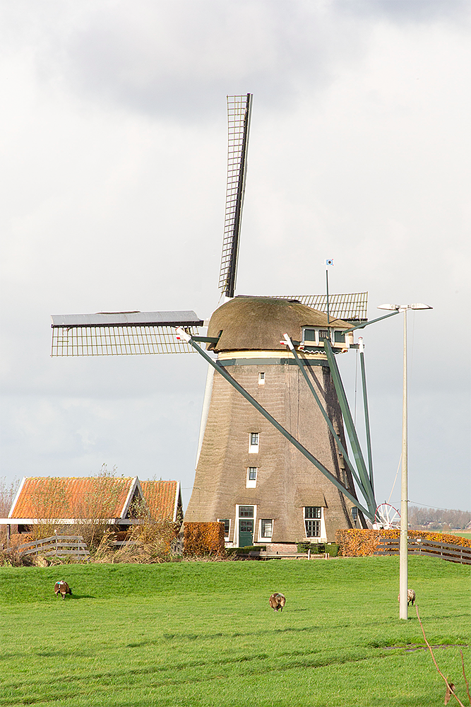 2, Molen 00049 De Dikke Molen (Alphen aan den Rijn), Frank Hendriks (26-11-2017) | Database Nederlandse molens