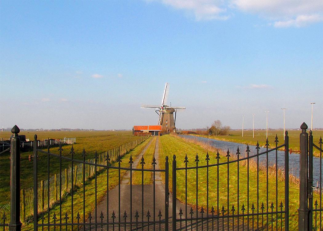 4, Molen 00049 De Dikke Molen (Alphen aan den Rijn), Piet Glasbergen (16-3-2016) | Database Nederlandse molens