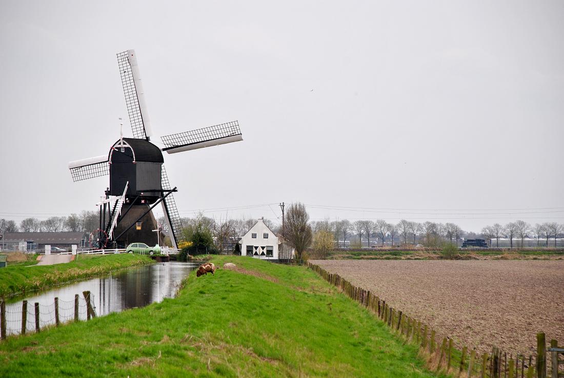 4, Molen 00053 Steektermolen (Alphen aan den Rijn), Kees Kammeraat (1-4-2017) | Database Nederlandse molens