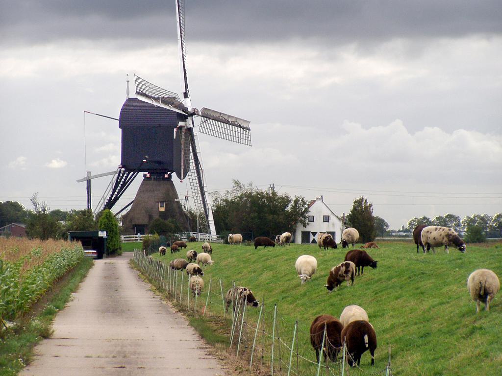 6, Molen 00053 Steektermolen (Alphen aan den Rijn), Otto Beaujon (12-9-2007) | Database Nederlandse molens
