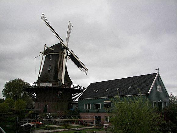 4, Molen 10072 Molen van Sloten (Amsterdam), Hier staat-ie voor het eerst met gerepareerde roeden, Oudhollands  wiekentuig en Amstellandse kleuren. Ofwel: geheel anders dan-ie  daarvoor was. Rein Arler (mei 2010). | Database Nederlandse molens