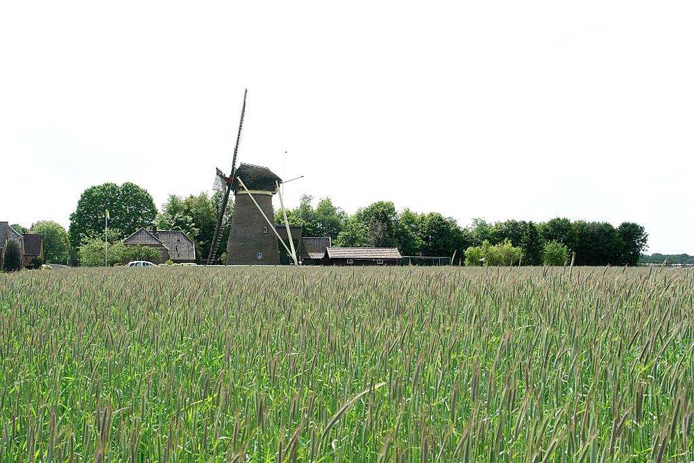 1, Molen 00914 Geertruida Cornelia (Gorssel), Frits Kruishaar (19-5-2012). | Database Nederlandse molens