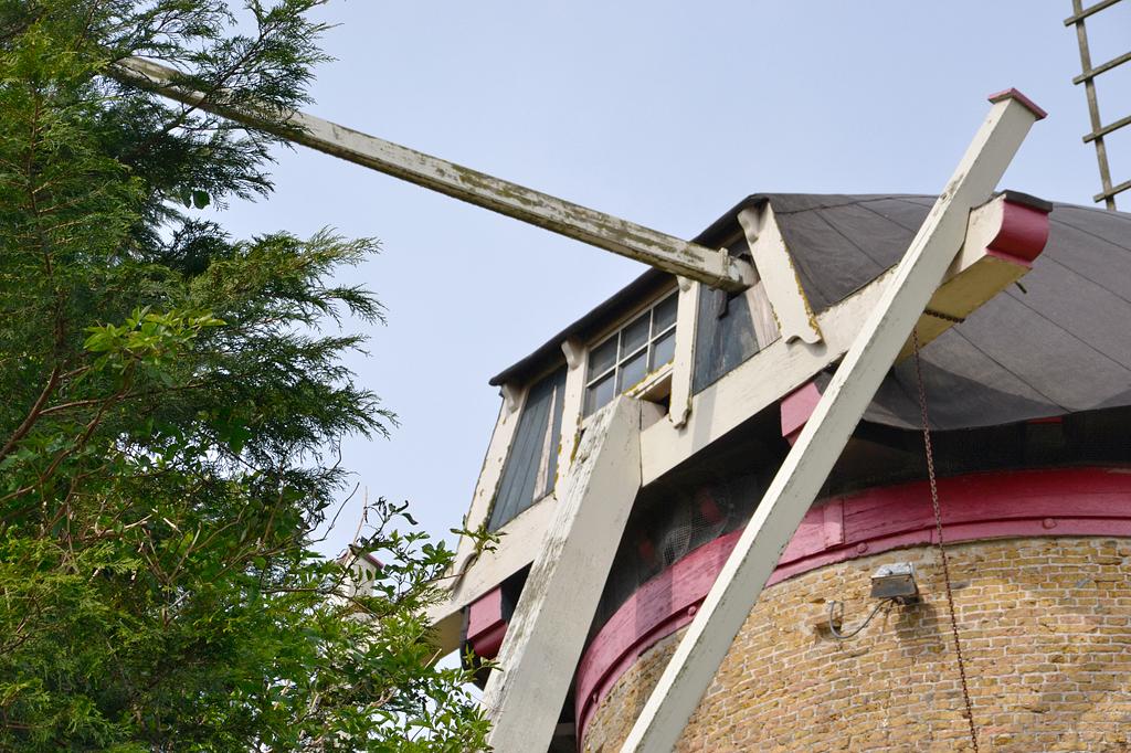 5, Molen 03543 Landzigt (Wissenkerke), Rob Pols (30-4-2016)Rondom de molen staat (te) hoge begroeiing. | Database Nederlandse molens