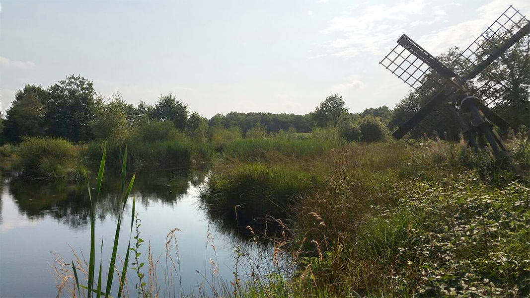 3, Molen 10275 (Bollenveen) (Zeijen), Pieter Zuijkerbuijk (30-8-2016) | Database Nederlandse molens
