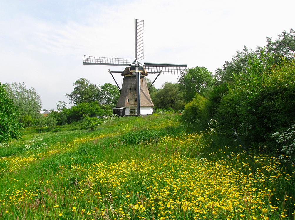 1, Molen 00970 De Zwarte Ruiter (Aalsmeer), Piet Glasbergen (21-5-2016) | Database Nederlandse molens