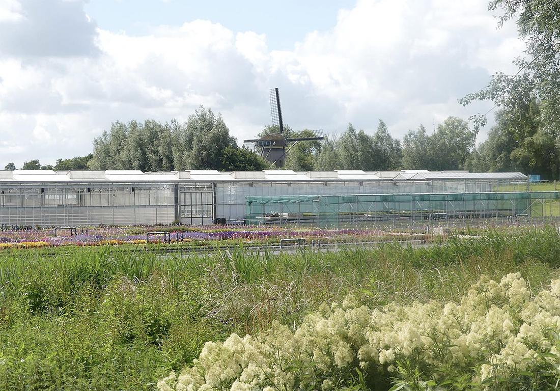 4, Molen 00970 De Zwarte Ruiter (Aalsmeer), Piet Glasbergen (20-6-2020) | Database Nederlandse molens