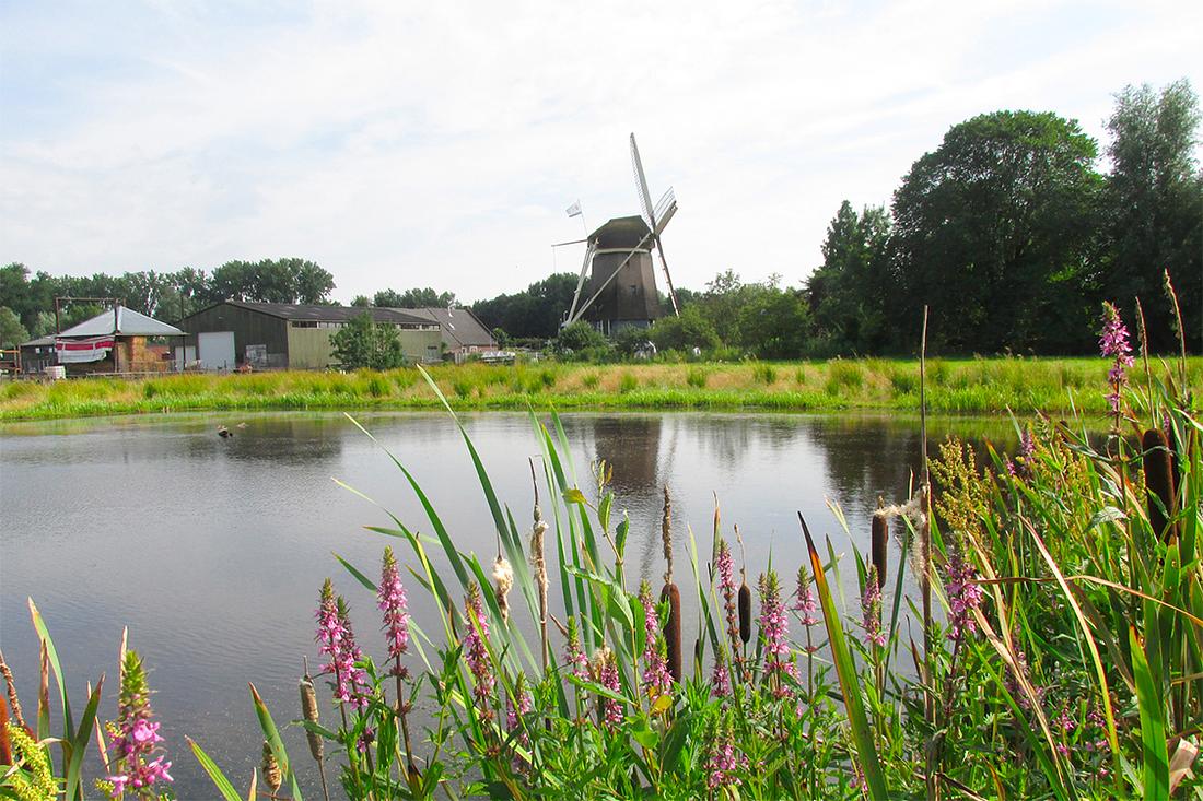 3, Molen 00282 Gemeenschapsmolen (Amsterdam), Piet Glasbergen (21-7-2016) | Database Nederlandse molens