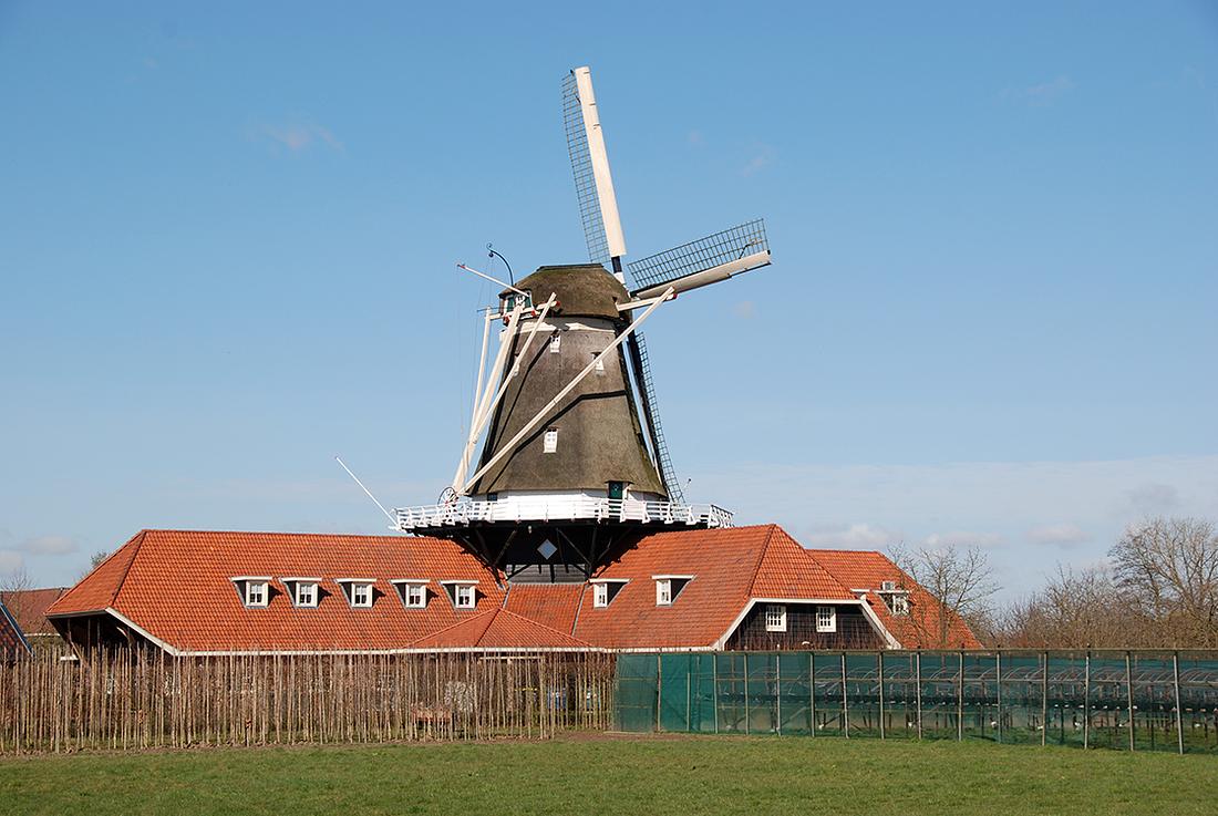 3, Molen 10002 De Zwaluw (Kesteren), Harmannus Noot (5-9-2015) | Database Nederlandse molens